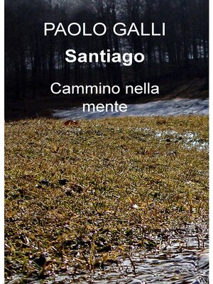 cover image of Santiago